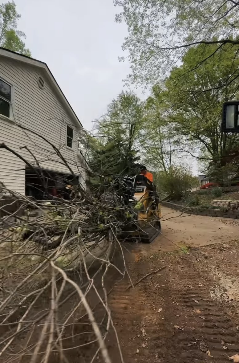 Emergency storm damage tree removal near home
